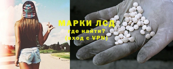 винт Ельня