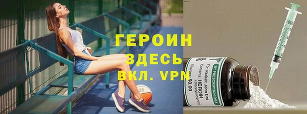 винт Ельня