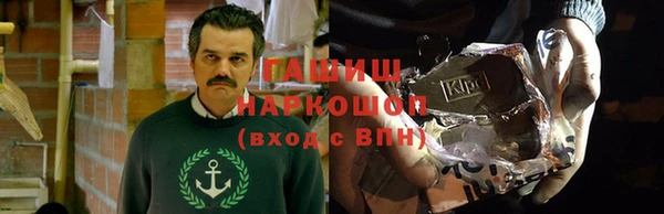 крисы Елабуга