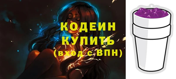 крисы Елабуга