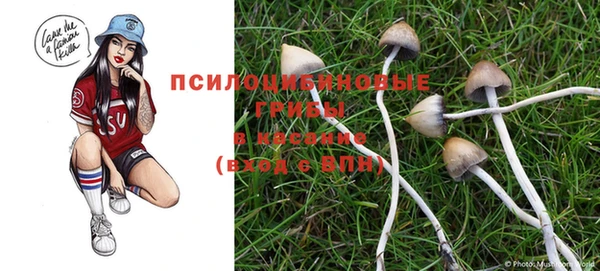 крисы Елабуга