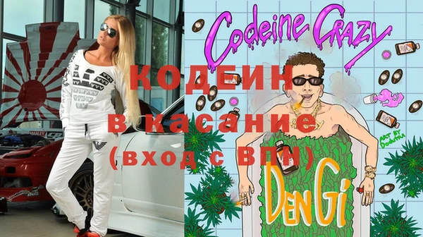 крисы Елабуга