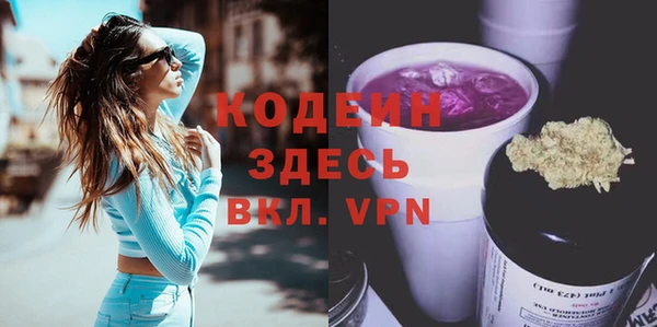 крисы Елабуга