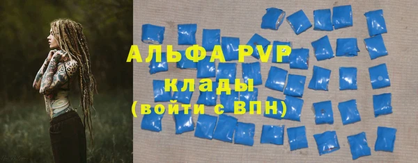 винт Ельня